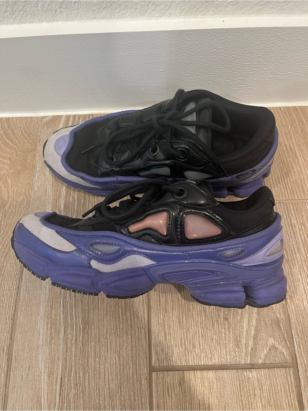 Raf Simon’s ozweego 3 size 8.5